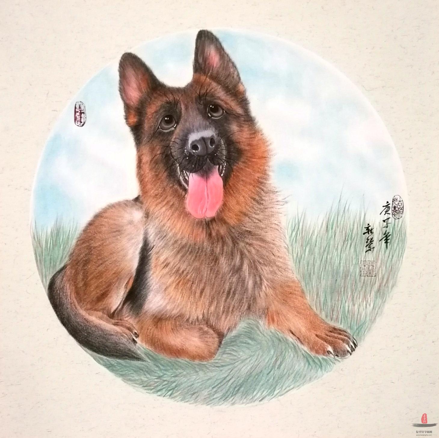 马新荣《忠诚卫士牧羊犬》